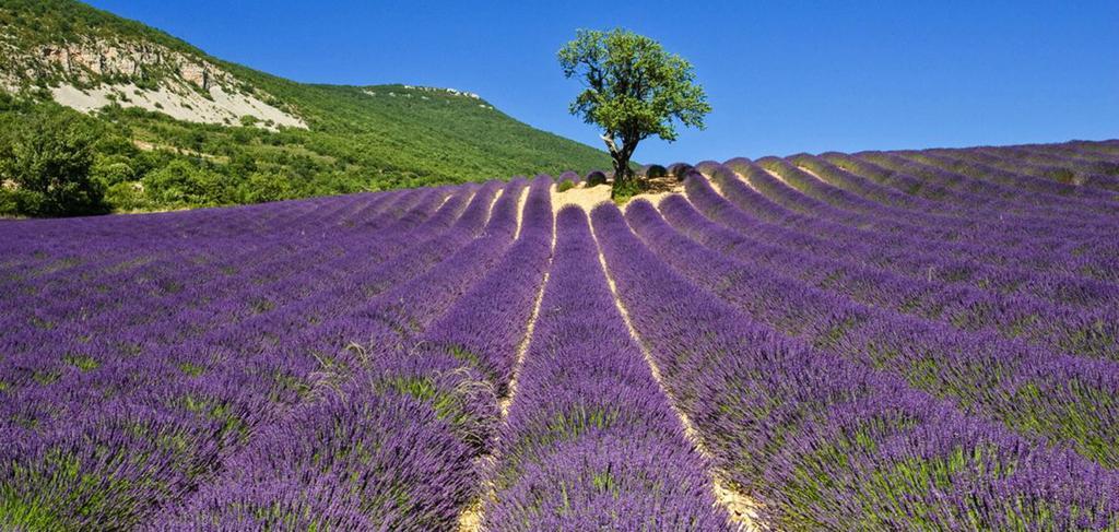 Campanile Sud 3* Valence (Drome)